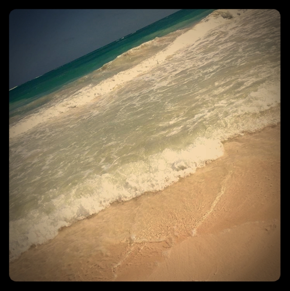 Meet your Posher,leanna